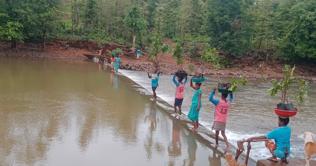 Tribal community members planting saplings